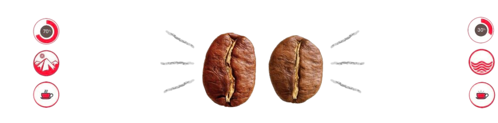 قهوه عربیکا و روبوستا